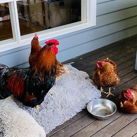 Farm Stay Maple Cottage At Wilindi Estate Tyabb Екстериор снимка