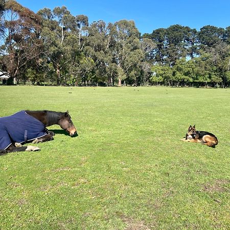 Farm Stay Maple Cottage At Wilindi Estate Tyabb Екстериор снимка