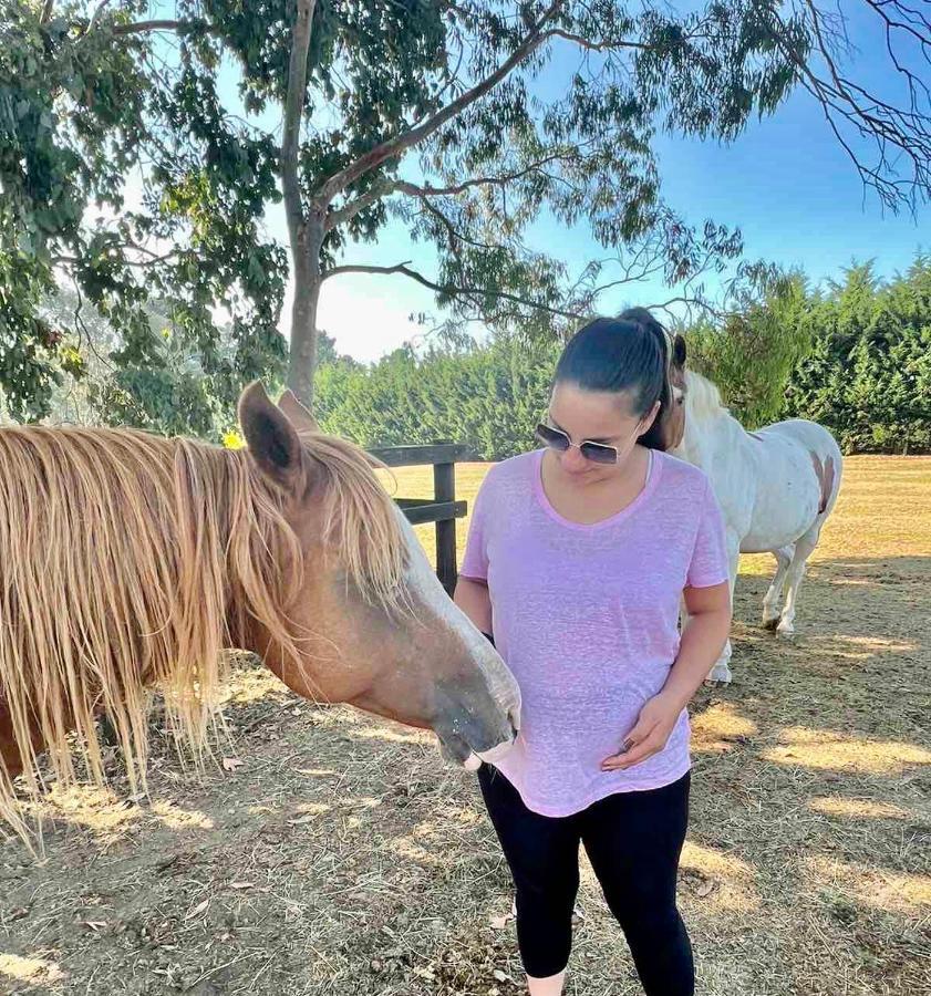 Farm Stay Maple Cottage At Wilindi Estate Tyabb Екстериор снимка