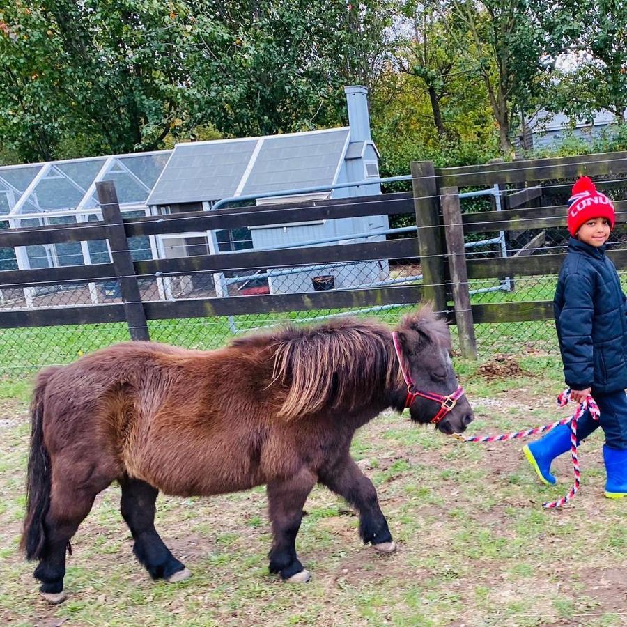 Farm Stay Maple Cottage At Wilindi Estate Tyabb Екстериор снимка