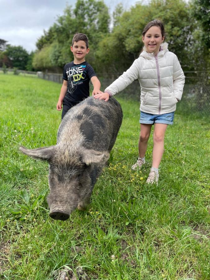 Farm Stay Maple Cottage At Wilindi Estate Tyabb Екстериор снимка