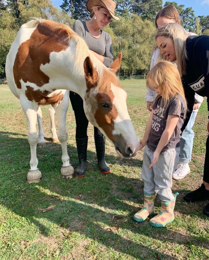 Farm Stay Maple Cottage At Wilindi Estate Tyabb Екстериор снимка