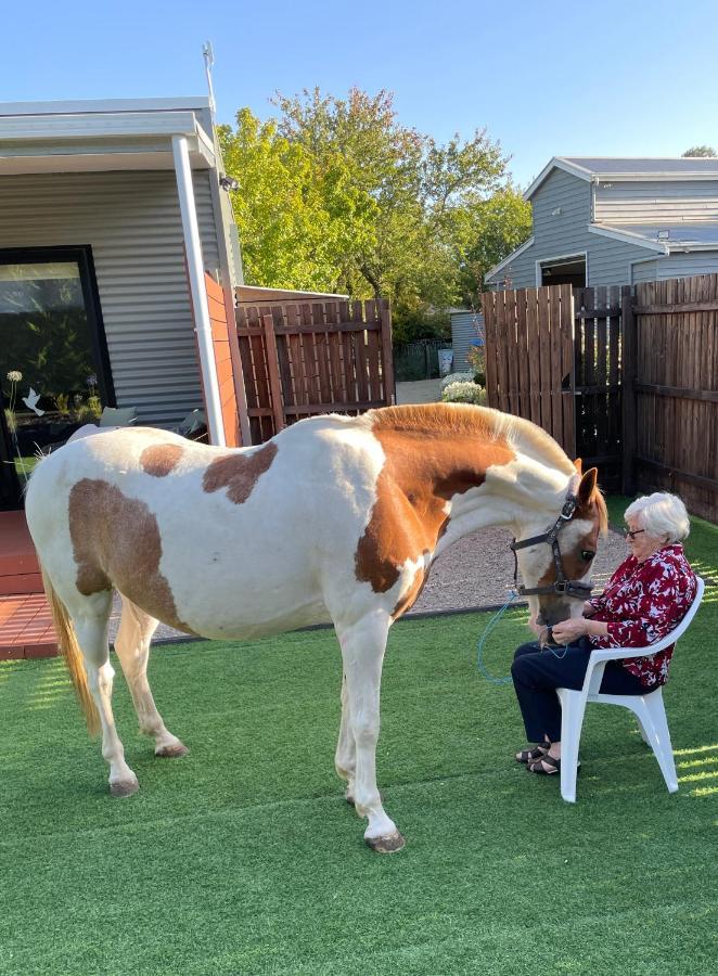 Farm Stay Maple Cottage At Wilindi Estate Tyabb Екстериор снимка